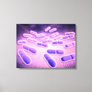 Microscopic View Of Listeria Monocytogenes 2 Canvas Print