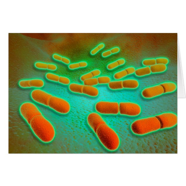 Microscopic View Of Listeria Monocytogenes 3 (Front Horizontal)