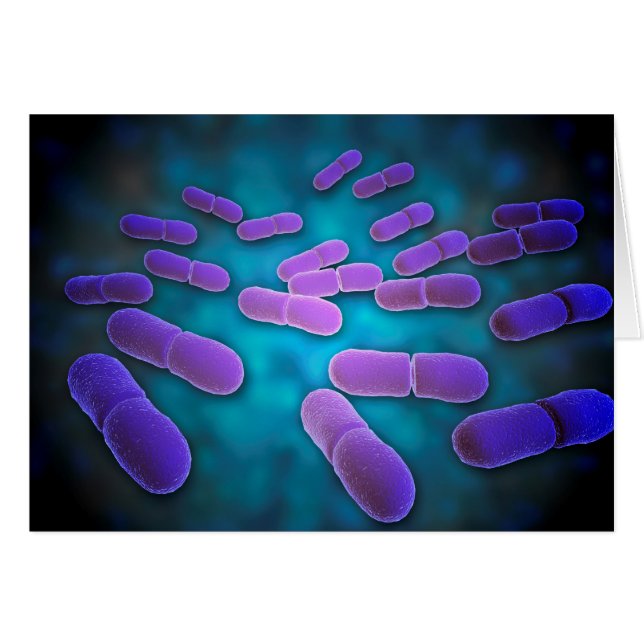 Microscopic View Of Listeria Monocytogenes 5 (Front Horizontal)