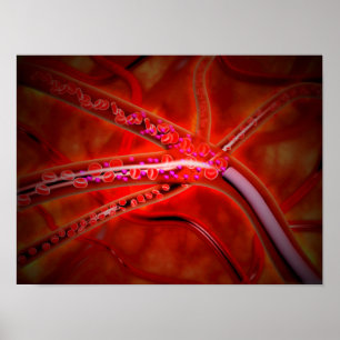 Microscopic View Of Medicine Being Injected Poster