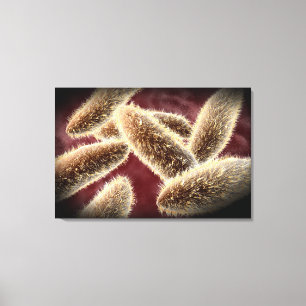 Microscopic View Of Paramecium 2 Canvas Print