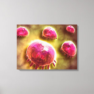Microscopic View Of Phagocytic Macrophages 2 Canvas Print