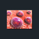 Microscopic View Of Phagocytic Macrophages 3 Canvas Print<br><div class="desc">Microscopic view of phagocytic macrophages.</div>