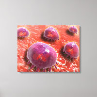 Microscopic View Of Phagocytic Macrophages 3