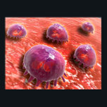 Microscopic View Of Phagocytic Macrophages 3 Poster<br><div class="desc">Microscopic view of phagocytic macrophages.</div>