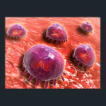 Microscopic View Of Phagocytic Macrophages 3 Poster<br><div class="desc">Microscopic view of phagocytic macrophages.</div>