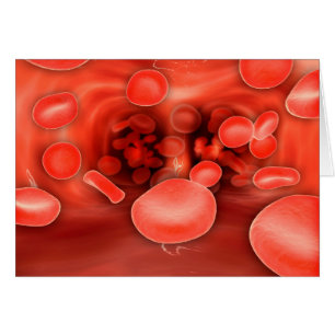 Microscopic View Of Red Blood Cells Flowing