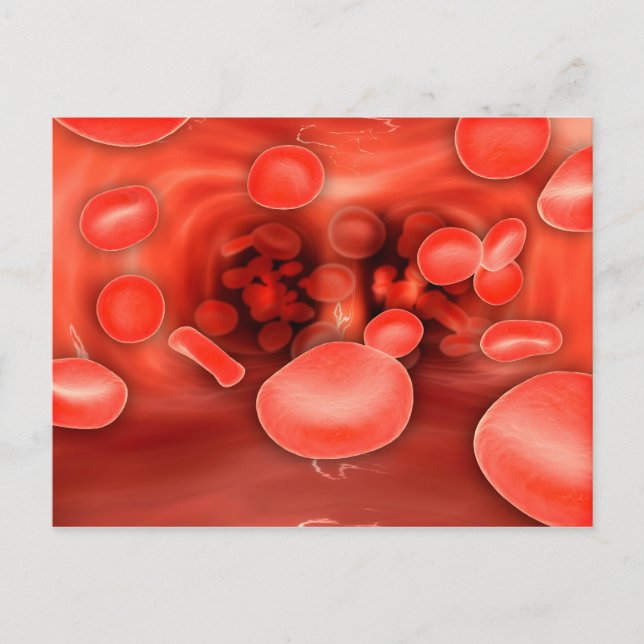 Microscopic View Of Red Blood Cells Flowing Postcard (Front)