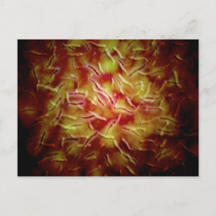 Microscopic View Of Sperm Postcard