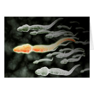 Microscopic View Of Sperm Travelling