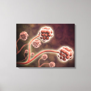 Microscopic View Of Stachybotrys Chartarum Canvas Print