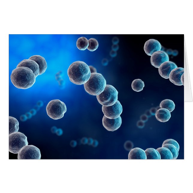 Microscopic View Of Streptococcus 2 (Front Horizontal)