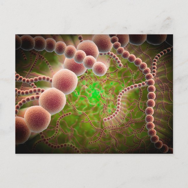 Microscopic View Of Streptococcus Pneumoniae Postcard (Front)
