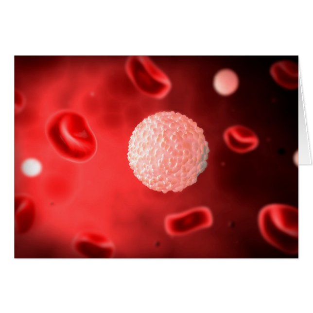 Microscopic View Of White Blood Cells (Front Horizontal)