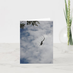 Mid-air Spider notecard