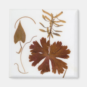 Mid-Century Modern Pressed Flowers Magnet