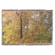 Mid October trees 2 Throw