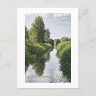 Mid Summer in Vlassenbroek, Belgium Postcard