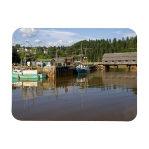 Mid tide at the Bay of Fundy at St. Martins, New Magnet