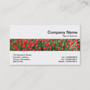 Middle Band - Bed of Red Tulips 01 Business Card