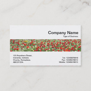 Middle Band - Bed of Tulips Business Card