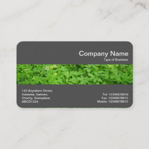 Middle Band (Dk Grey) - Undergrowth Business Card