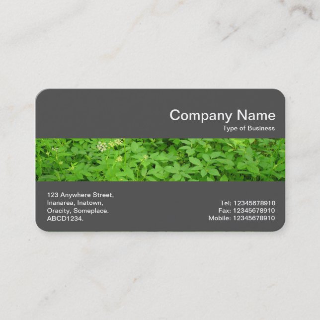 Middle Band (Dk Grey) - Undergrowth Business Card (Front)
