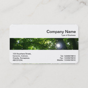 Middle Band - Sun Through Trees Business Card