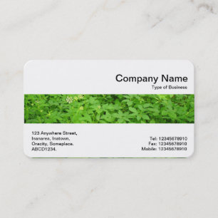 Middle Band - Undergrowth Business Card