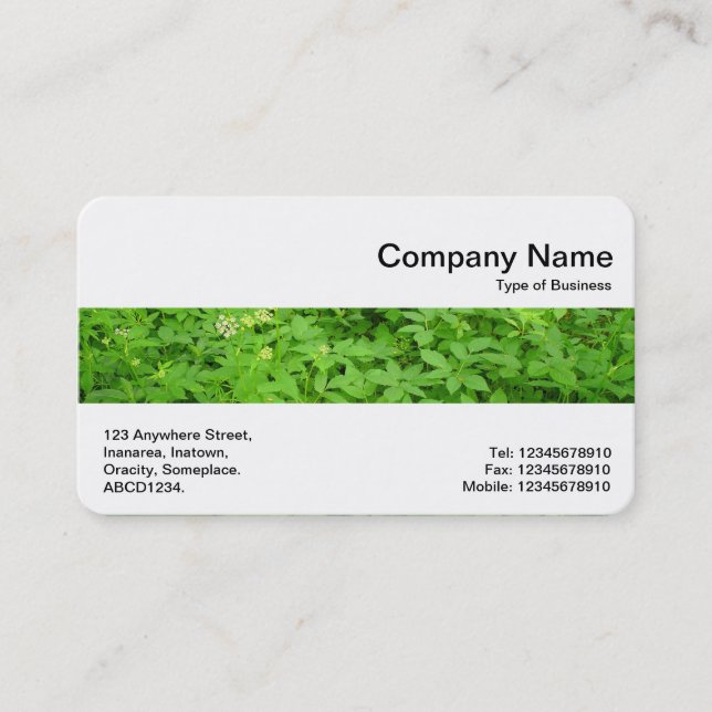 Middle Band - Undergrowth Business Card (Front)