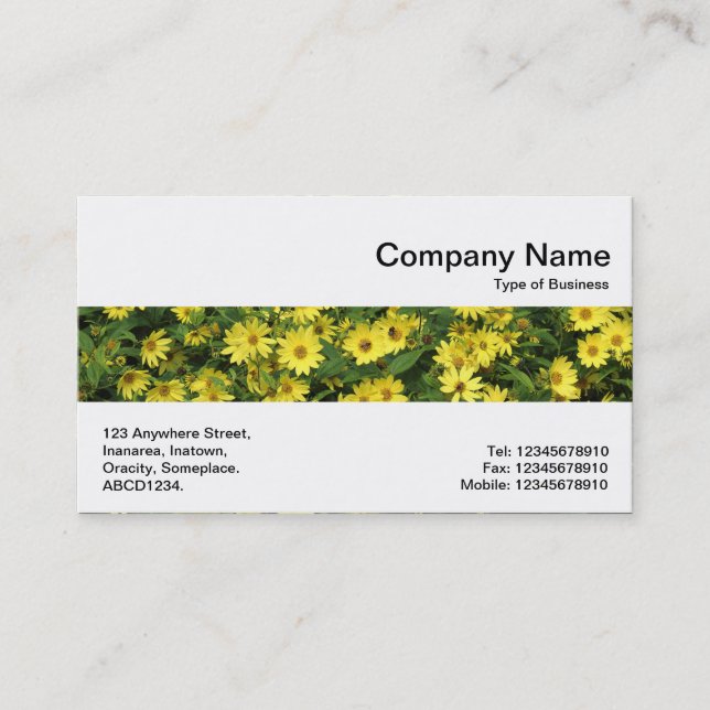 Middle Band - Yellow Daisies Business Card (Front)
