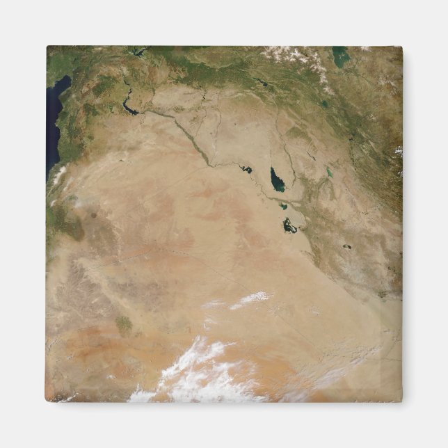 Middle East 2 Magnet (Front)