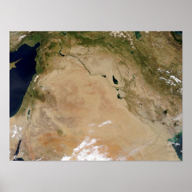 Middle East Poster (Front)