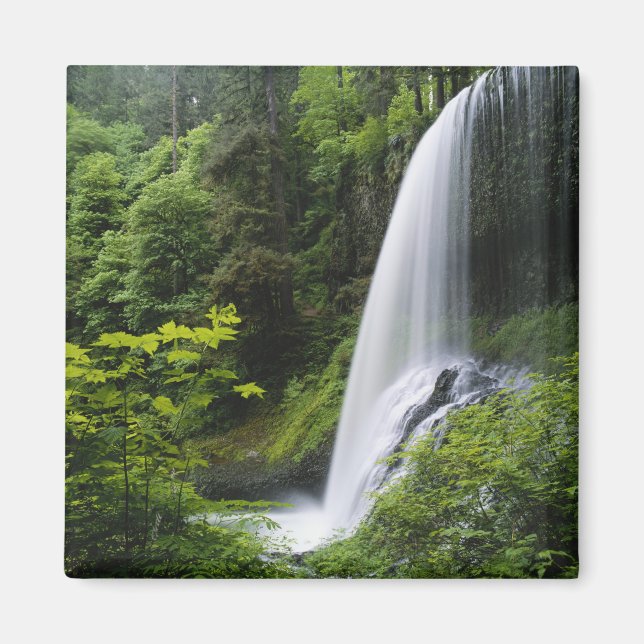 Middle North falls, Silver Falls State Park, Magnet (Front)