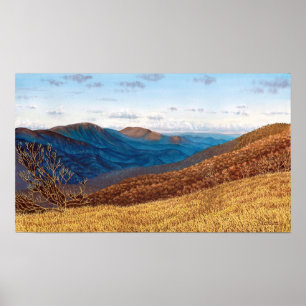 Middle Prong Wilderness Poster