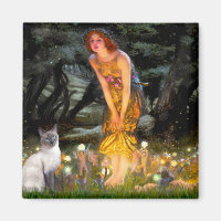 MidEve - Blue Point Siamese cat