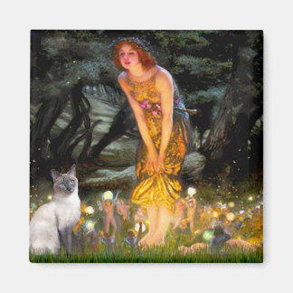 MidEve - Blue Point Siamese cat Magnet