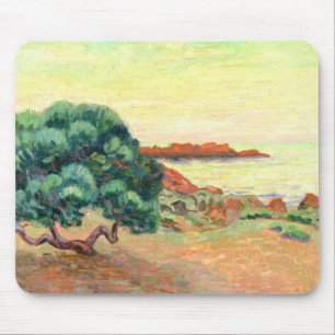 Midi Landscape, 1898 (oil on canvas) Mouse Mat