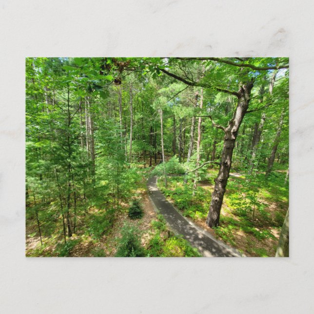 Midland Michigan nature trail Postcard (Front)