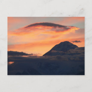 Midnight at Denali Postcard