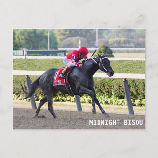 Midnight Bisou - Beldame Stakes Postcard