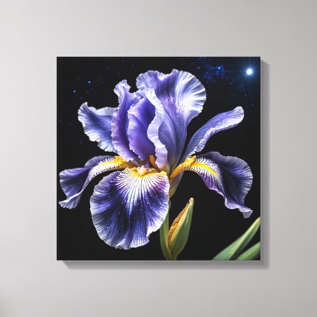 Midnight Bloom Iris Canvas Print (Front)