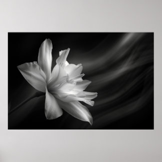 Midnight Blossom Print, Value Poster Paper (Matte)
