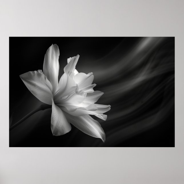 Midnight Blossom Print, Value Poster Paper (Matte) (Front)