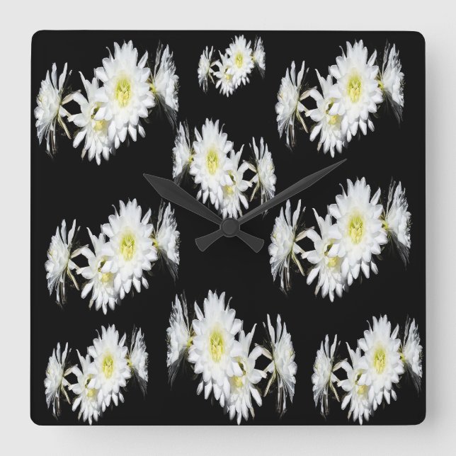 Midnight Blossoms: White Cactus Flowers On Black Square Wall Clock (Front)