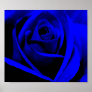 Midnight Blue Rose - poster/print Poster