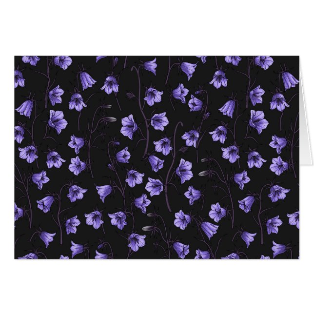 Midnight Bluebells, Harebells, Bellflowers (Front Horizontal)