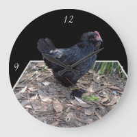 "Midnight Feathers: A Black Chicken in Popout Art"
