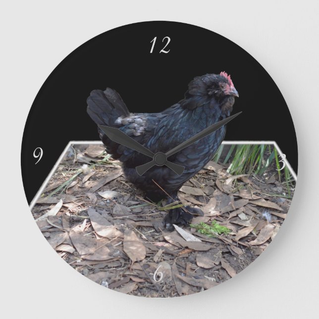 "Midnight Feathers: A Black Chicken in Popout Art" Large Clock (Front)