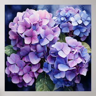 Midnight Garden Violet Hydrangea Watercolor Poster